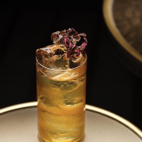 Consultant bar - création programme de bar et carte cocktails. Mixologie